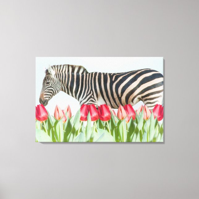 A Zebra bland tulpanerna Canvastryck (Framsida)