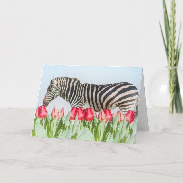 A Zebra bland tulpanerna Kort (Framsida)