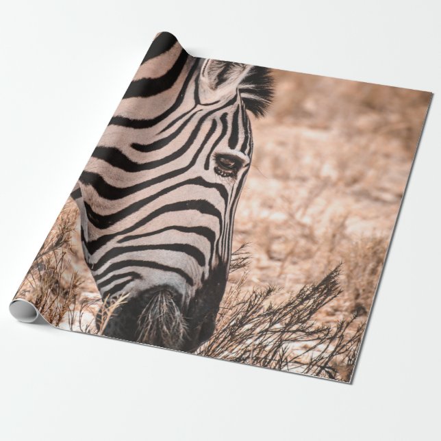 A ZEBRA ETOSHA NATIONAL PARK PRESENTPAPPER (Utrullad)