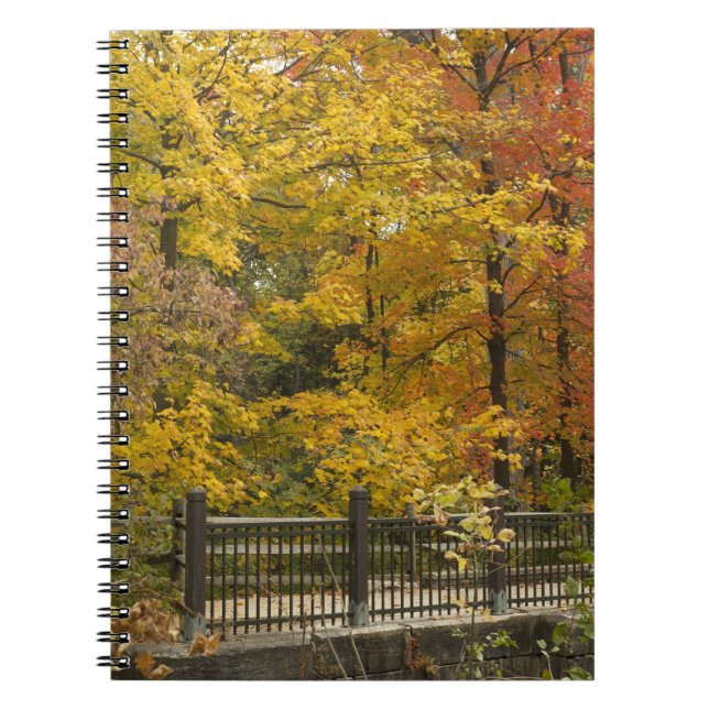 aa anteckningsbok med spiral (Framsidan)