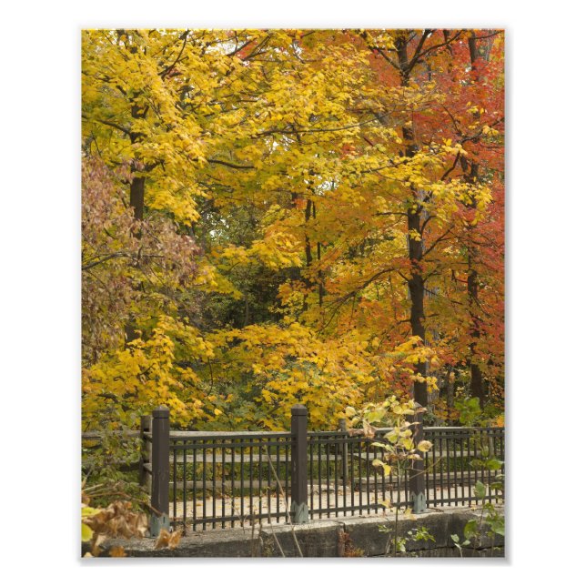 aaa fototryck (Framsidan)