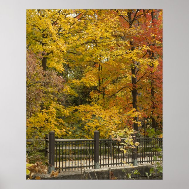 aaa poster (Framsidan)