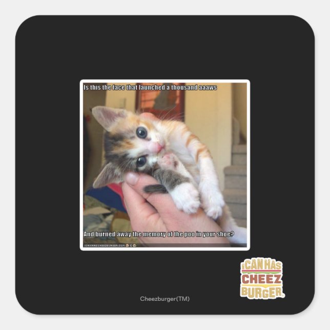 Aaaws Fyrkantigt Klistermärke (Framsida)