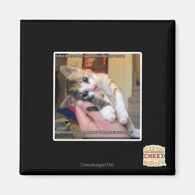 Aaaws Magnet (Framsidan)