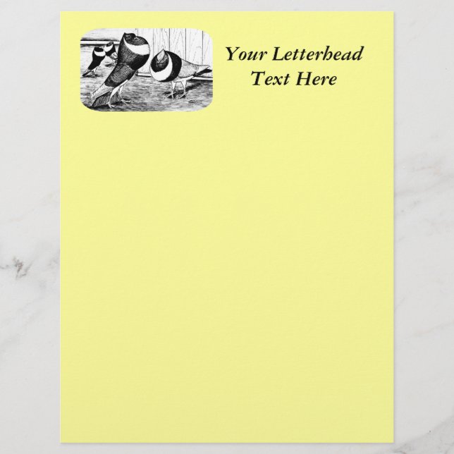 Aachen Band Cropper Pigeons (Framsida)