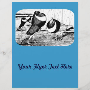 Aachen Band Cropper Pigeons Reklamblad