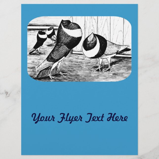 Aachen Band Cropper Pigeons Reklamblad (Framsidan)