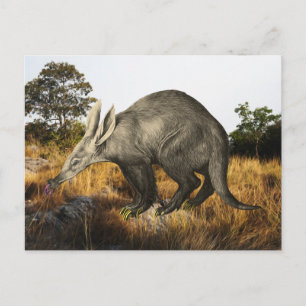 Aardvark Vykort