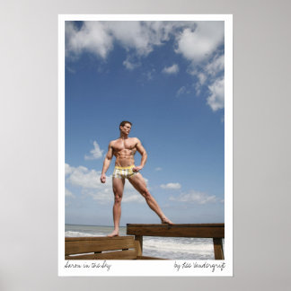 Aaron i Himlar av Lee Vandergrift Poster