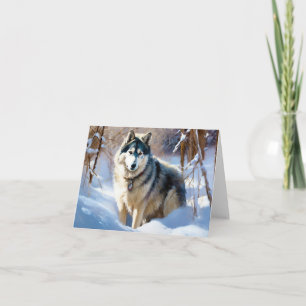 Aaskan Malamute Låt det snöa jul Kort