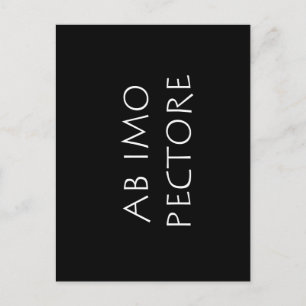 Ab imo pectore vykort