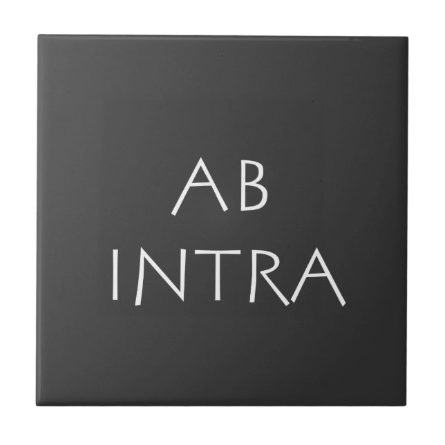 Ab intra kakelplatta (Framsidan)