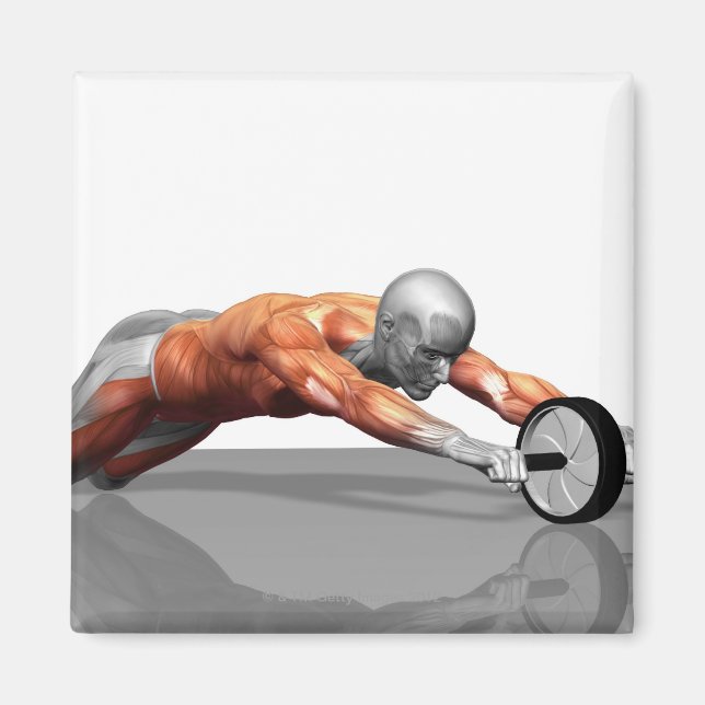 Ab Wheel Magnet (Framsidan)