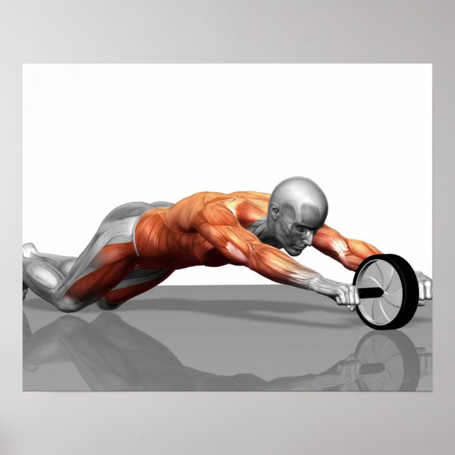 Ab Wheel Poster (Framsidan)