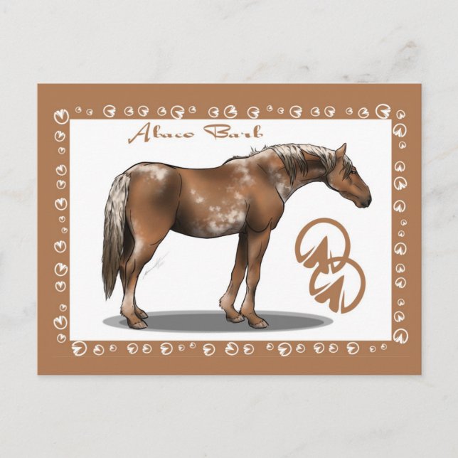 Abaco Barb Vykort (Framsida)