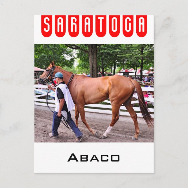 Abaco - Phipps Stables Vykort (Framsida)