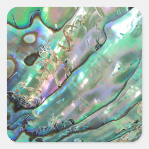 Abalone Fyrkantigt Klistermärke
