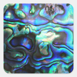 Abalone paua snäcka fyrkantigt klistermärke