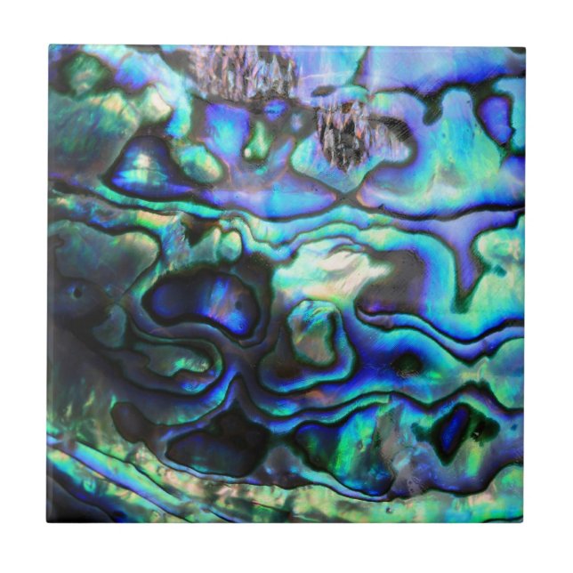 Abalone paua snäcka kakelplatta (Framsidan)