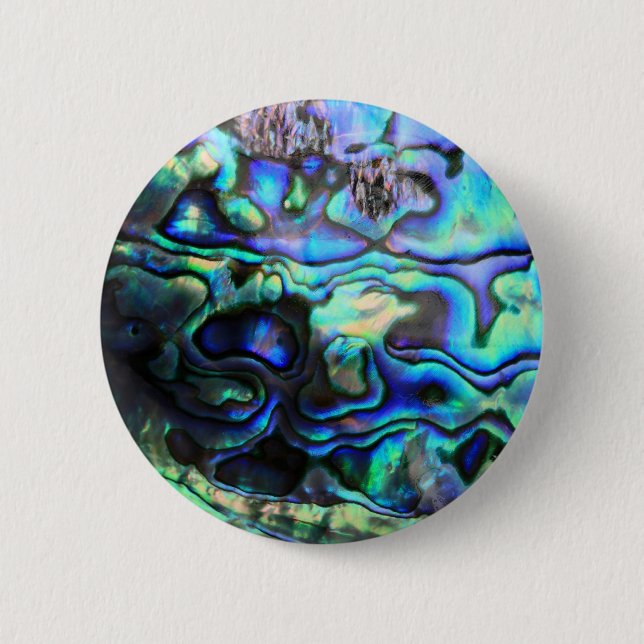 Abalone paua snäcka knapp (Framsida)