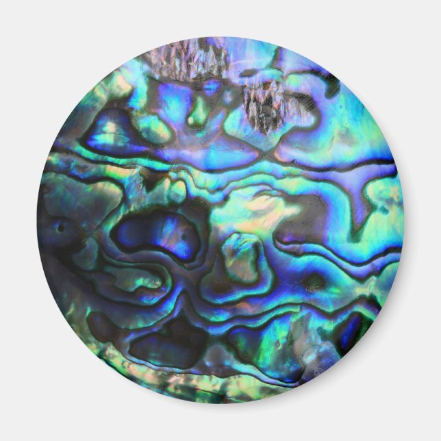 Abalone paua snäcka magnet (Framsidan)