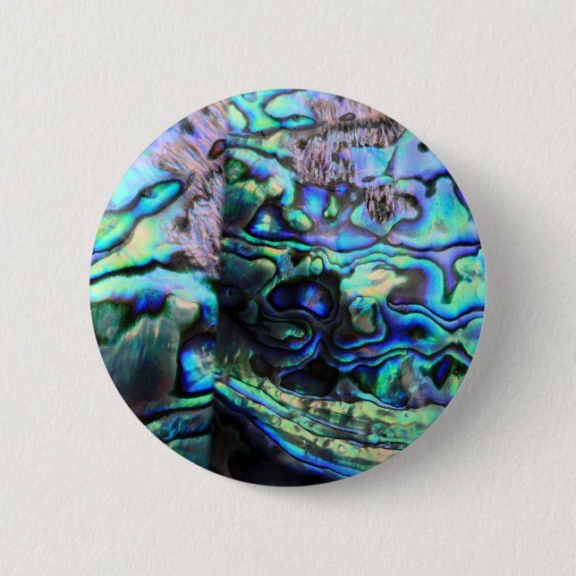 Abalone paua-snäcka, närmare uppgifter knapp (Framsida)