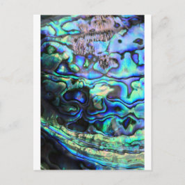 Abalone paua snäcka vykort