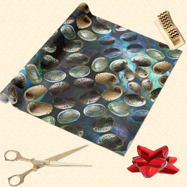 Abalone Snäcka 3D Scatter Paua Background Presentpapper