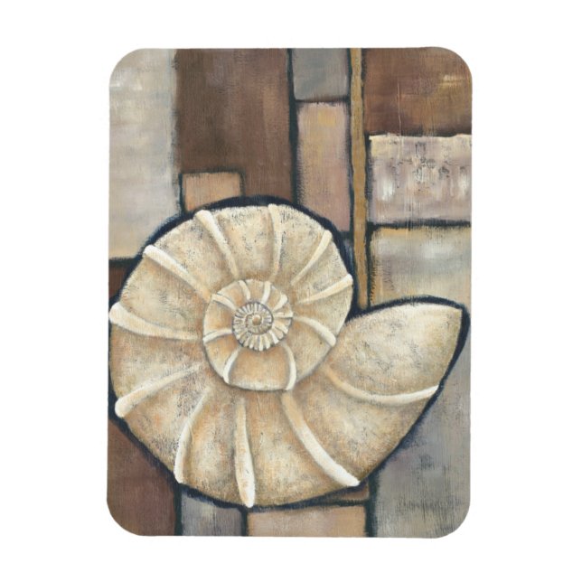 Abalone Snäcka Magnet (Vertikal)