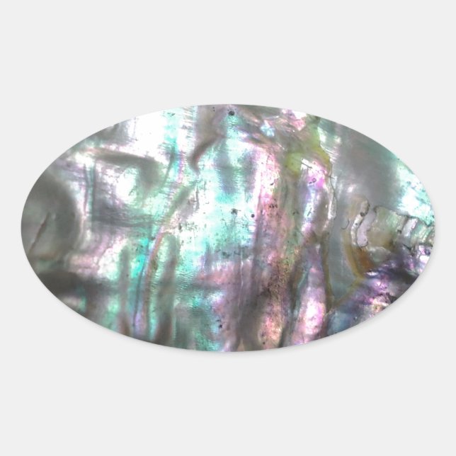 Abalone Snäcka Ovalt Klistermärke (Framsida)