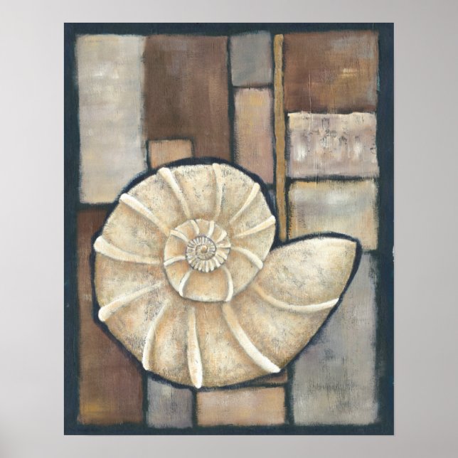 Abalone Snäcka Poster (Framsidan)