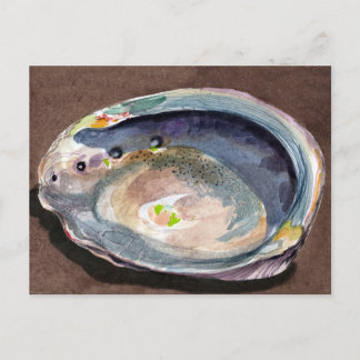 Abalone Snäcka Vykort