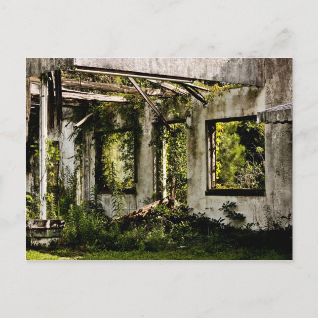Abandoned moel old Florida Vykort (Framsida)