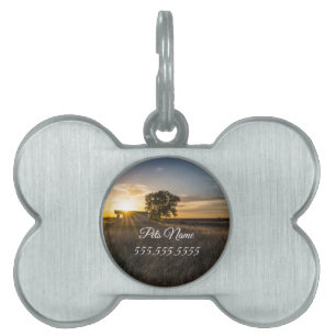Abandoned Shed Colorado Sunset Pet Tag ID-bricka Husdjur