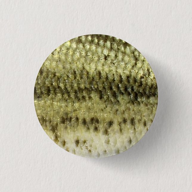 Abborre Knapp (Framsida)
