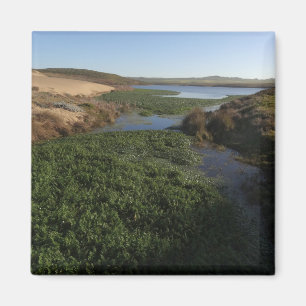 Abbottenlagun I vid Point Reyes National Seashore Magnet