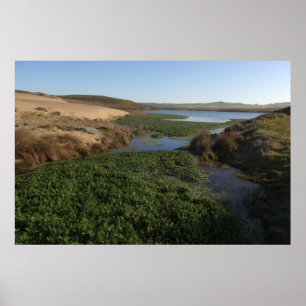 Abbottenlagun I vid Point Reyes National Seashore Poster