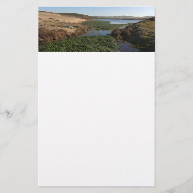 Abbotts Lagoon I vid Point Reyes National Seashore Brevpapper (Framsida)