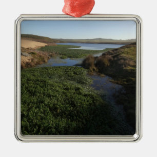 Abbotts Lagoon I vid Point Reyes National Seashore Julgransprydnad Metall
