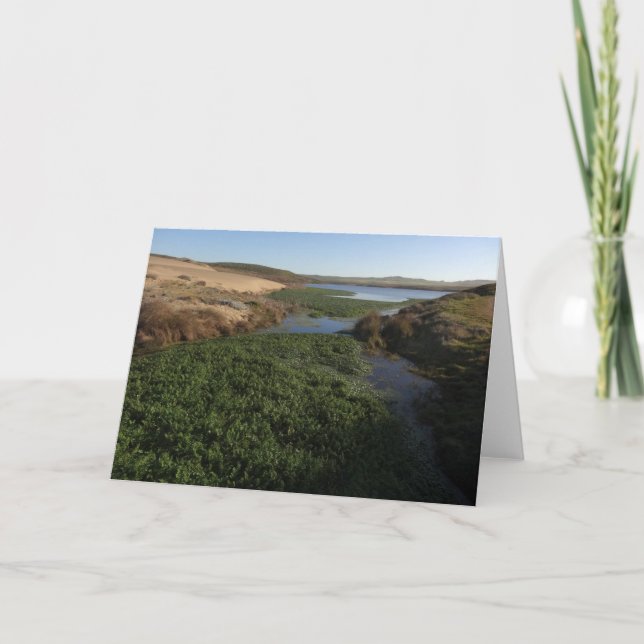 Abbotts Lagoon I vid Point Reyes National Seashore Kort (Framsida)