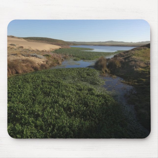Abbotts Lagoon I vid Point Reyes National Seashore Musmatta (Framsidan)