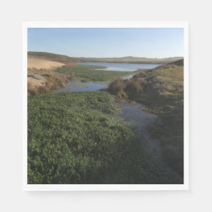 Abbotts Lagoon I vid Point Reyes National Seashore Pappersservett