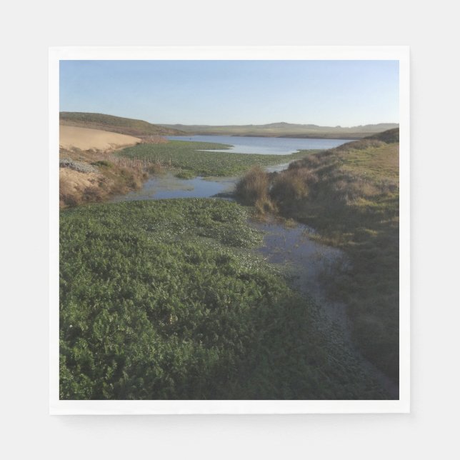 Abbotts Lagoon I vid Point Reyes National Seashore Pappersservett (Framsidan)