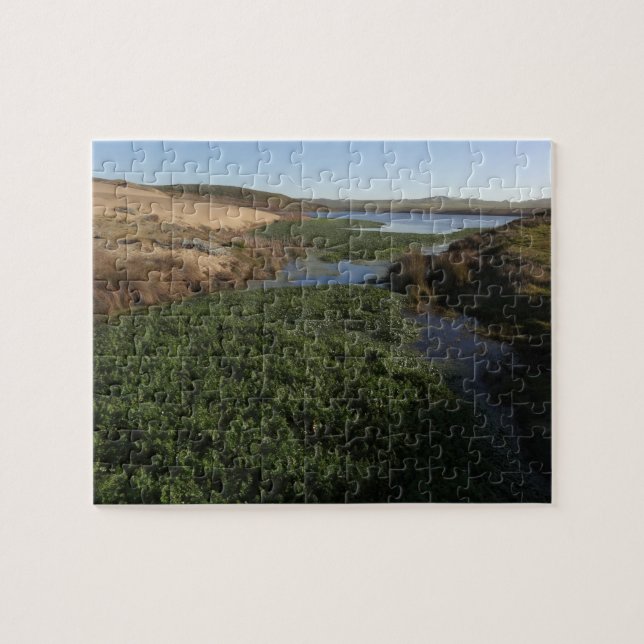 Abbotts Lagoon I vid Point Reyes National Seashore Pussel (Horisontell)