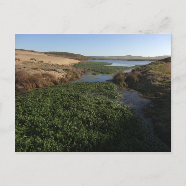 Abbotts Lagoon I vid Point Reyes National Seashore Vykort (Framsida)