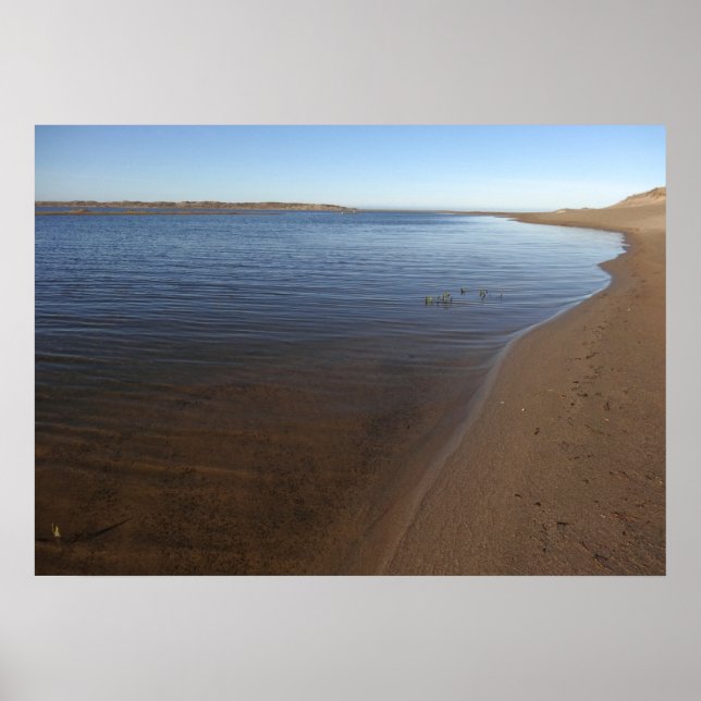 Abbotts Lagoon II vid Point Reyes National Seashor Poster (Framsidan)