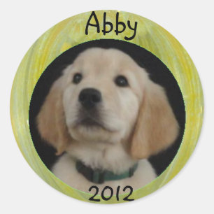 Abby 2012 Sticker Lakan Runt Klistermärke