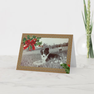 Abby Fantastisk Gräns Collie~Julkort Helgkort