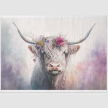 "Abby" Highland Cow med Pastel Krona 30 x 20