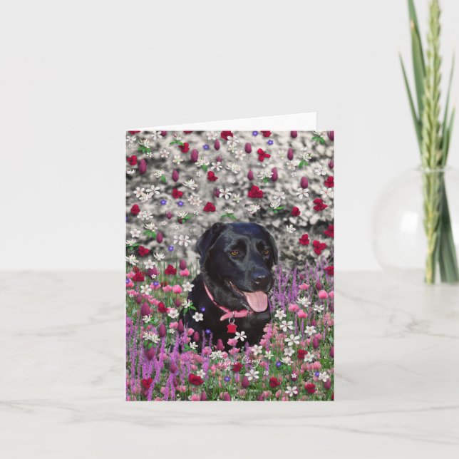 Abby i blommor - svart lab hund kort (Framsida)